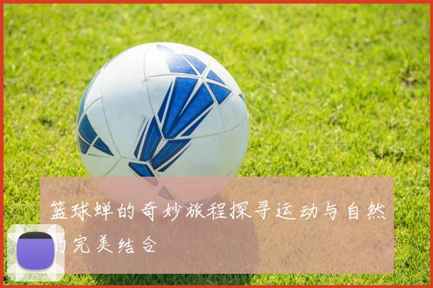篮球蝉的奇妙旅程探寻运动与自然的完美结合