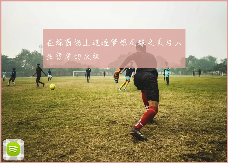 在绿茵场上追逐梦想足球之美与人生哲学的交织