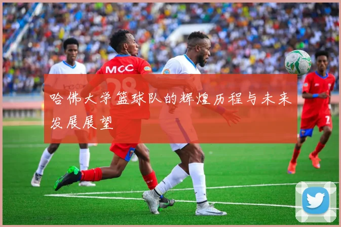 哈佛大学篮球队的辉煌历程与未来发展展望