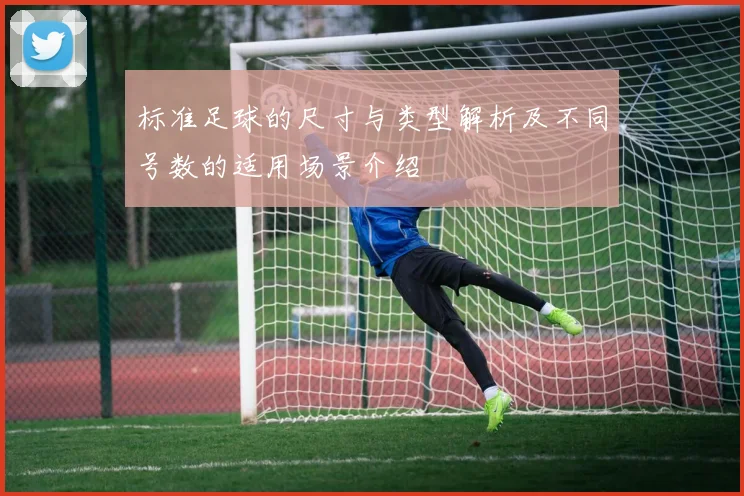 标准足球的尺寸与类型解析及不同号数的适用场景介绍